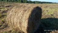 Сено в рулонах 2017 в д Михалево Тверская обл