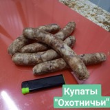 Купаты (Свинина) Готовые мясные продукты, полуфабрикаты