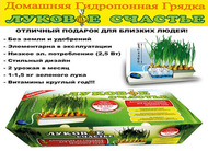 Луковое Счастье гидропоника для выращивания пера зёлёного лука дома на подоконнике