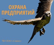 Охрана предприятий ЧОП Сокол