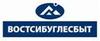 Предлагаем угли следующих марок : 2Б,3Б ,Д ,1ГЖ оптом 