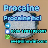 Procaine Base CAS 59-46-1